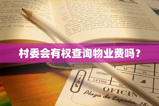 村委会有权查询物业费吗？