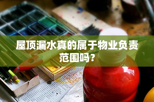 屋顶漏水真的属于物业负责范围吗？