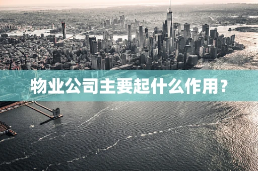 物业公司主要起什么作用？