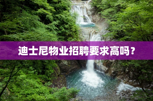 迪士尼物业招聘要求高吗？