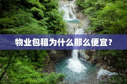 物业包租为什么那么便宜？