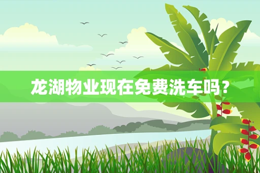 龙湖物业现在免费洗车吗？