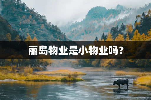 丽岛物业是小物业吗？
