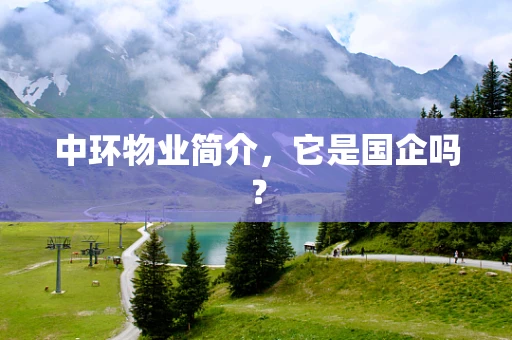 中环物业简介，它是国企吗？