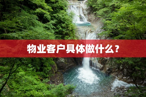 物业客户具体做什么？