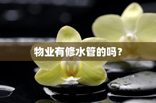 物业有修水管的吗？