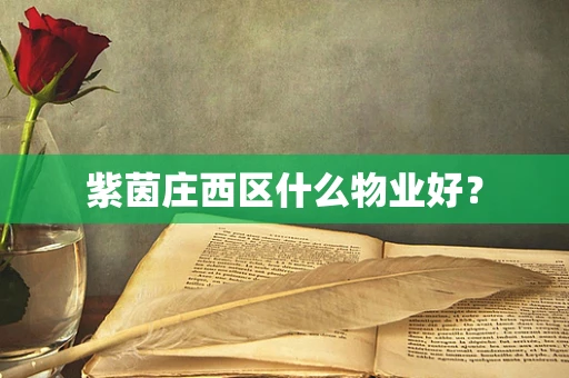 紫茵庄西区什么物业好？