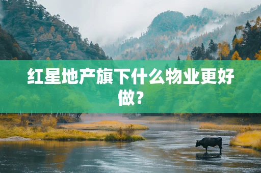 红星地产旗下什么物业更好做？