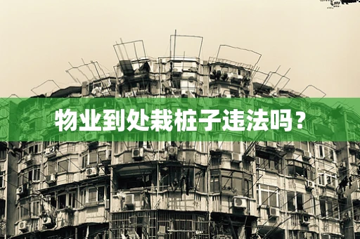 物业到处栽桩子违法吗？