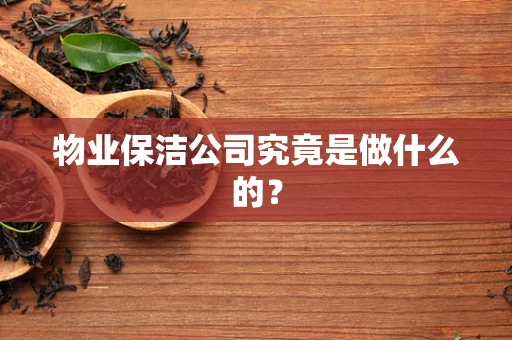 物业保洁公司究竟是做什么的？