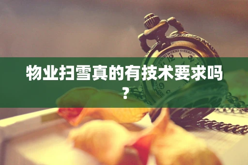 物业扫雪真的有技术要求吗？