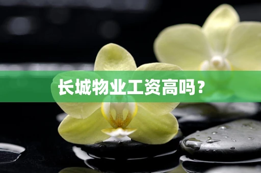 长城物业工资高吗？