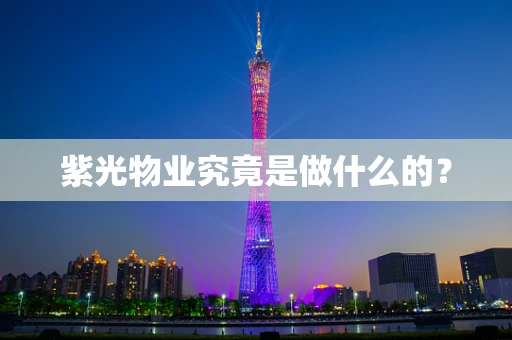 紫光物业究竟是做什么的？