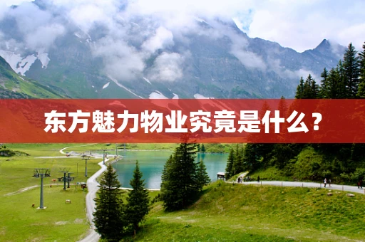 东方魅力物业究竟是什么？