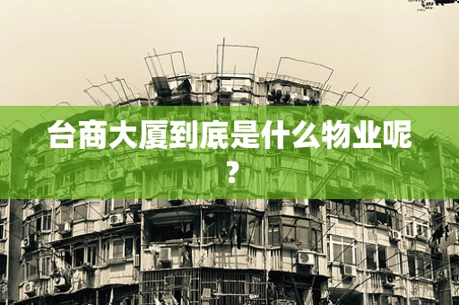 台商大厦到底是什么物业呢？