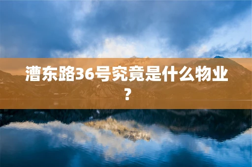 漕东路36号究竟是什么物业？