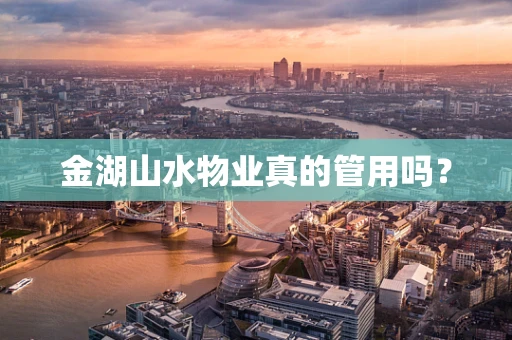 金湖山水物业真的管用吗？