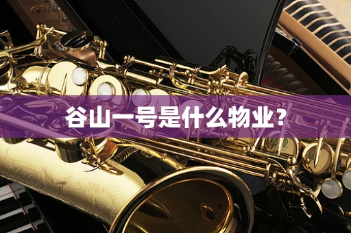 谷山一号是什么物业？