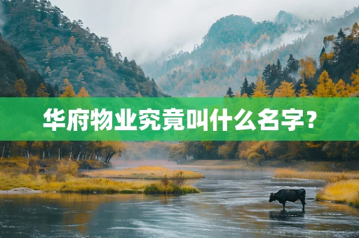 华府物业究竟叫什么名字？