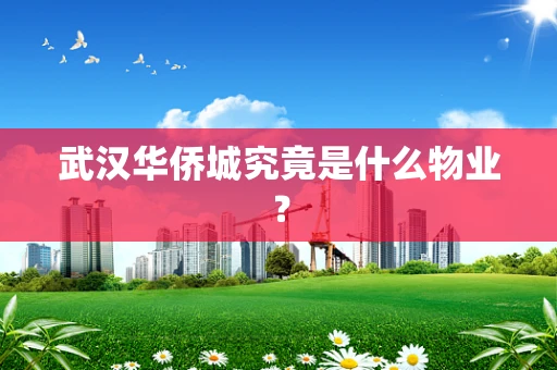 武汉华侨城究竟是什么物业？