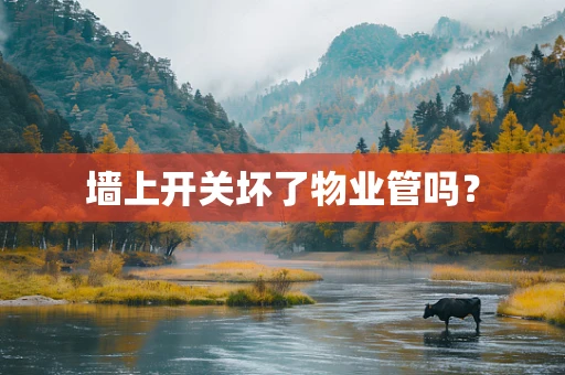 墙上开关坏了物业管吗？