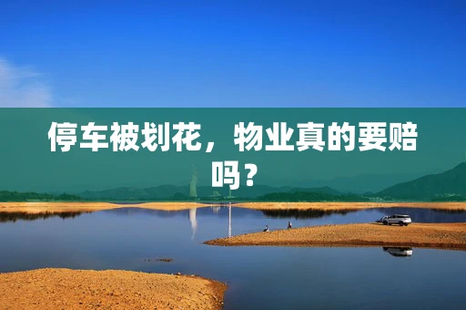 停车被划花，物业真的要赔吗？