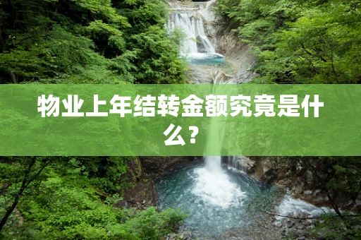 物业上年结转金额究竟是什么？