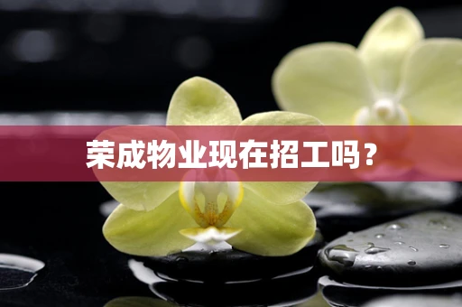 荣成物业现在招工吗？