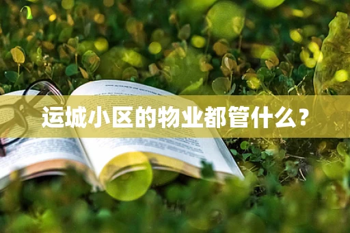运城小区的物业都管什么？
