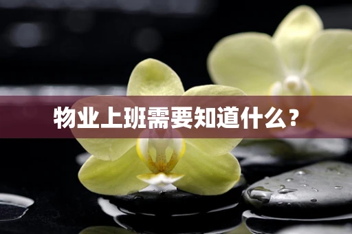 物业上班需要知道什么？
