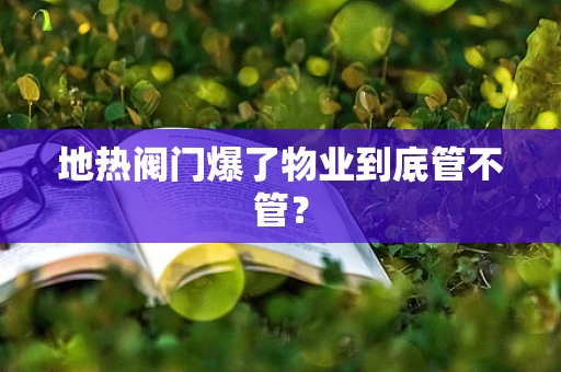 地热阀门爆了物业到底管不管？