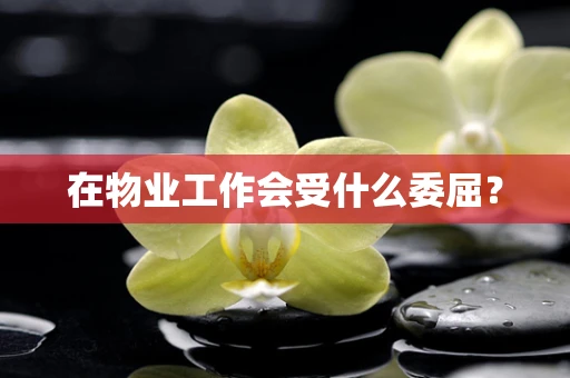 在物业工作会受什么委屈？