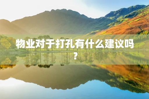 物业对于打孔有什么建议吗？