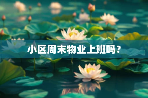 小区周末物业上班吗？