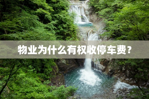 物业为什么有权收停车费？