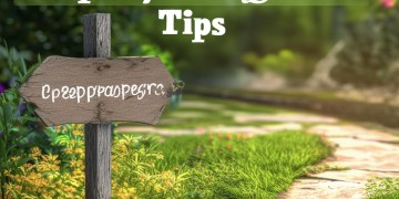 合伙做物业需要注意什么？