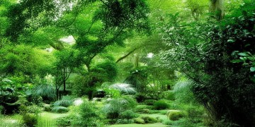 龙湖物业何时能跻身十强？