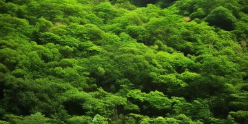 紫茵庄西区什么物业好？