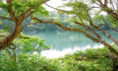 沈阳社区有引进物业的情况吗？