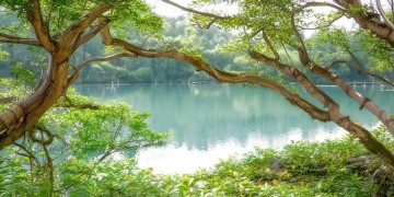 沈阳社区有引进物业的情况吗？