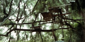 合肥的小区物业都留有商铺吗？