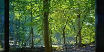 乌鲁木齐买房需要选物业吗？