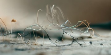 个人可以取消物业吗？