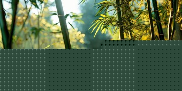 大信桂竹园物业费到底包含什么？