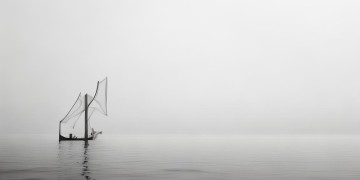 石家庄宝能物业为什么贵？