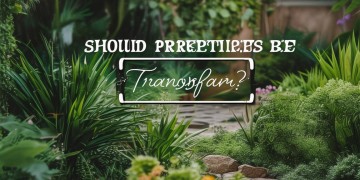 物业费用应该透明吗？