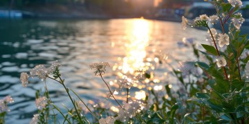 百翘香江究竟属于什么物业？