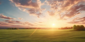 旭辉自持物业多吗？