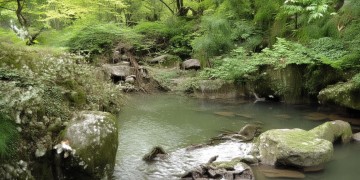 栾金西街有物业吗？