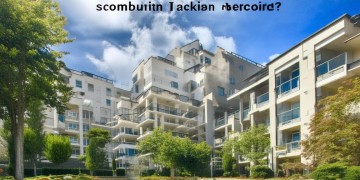 小区物业费需要公布吗？